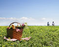 RIMINI BY BIKE -BW HOTEL NETTUNIA